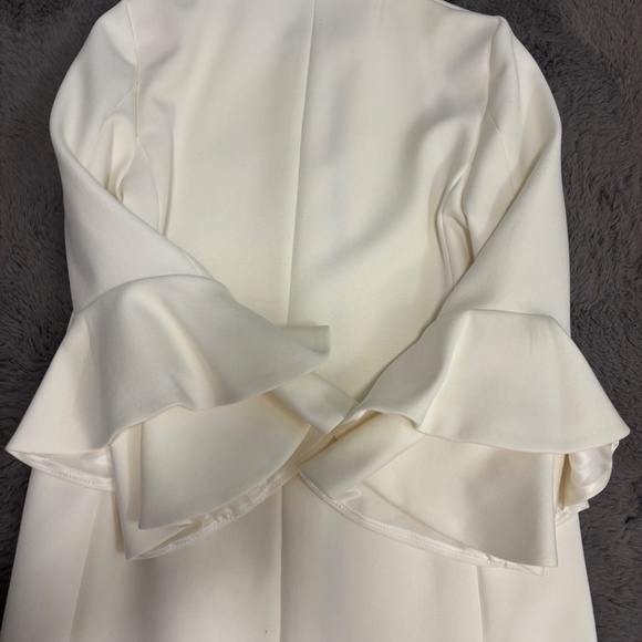 Zara S formal coat - Picture 3 of 3